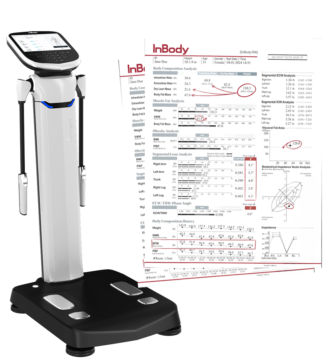 InBody580 body composition analyser and report